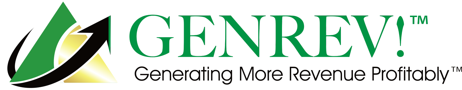 GENREV!™, Generating More Revenue Profitably™